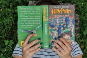 Herzenswelten Harry Potter Stein der Weisen Social Media